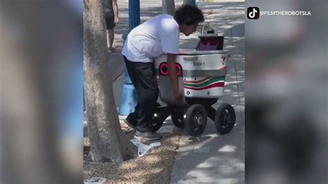 Vandals, thieves attacking L.A. food delivery robots